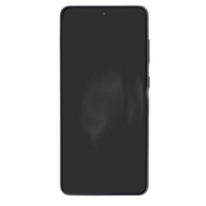 Ecran Samsung Galaxy S21 FE ReLife sans châssis Ecran Samsung Galaxy S21 FE ReLife sans châssis