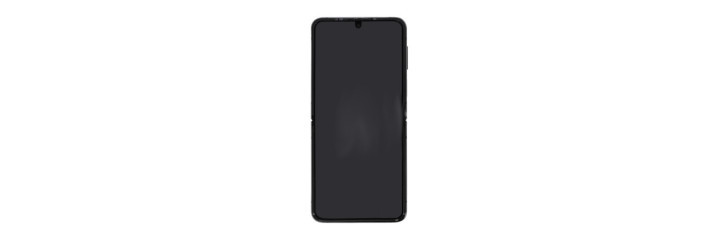 Galaxy Z Flip 4 / F936B