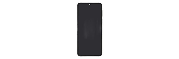 Galaxy Z Flip 5 / F731B